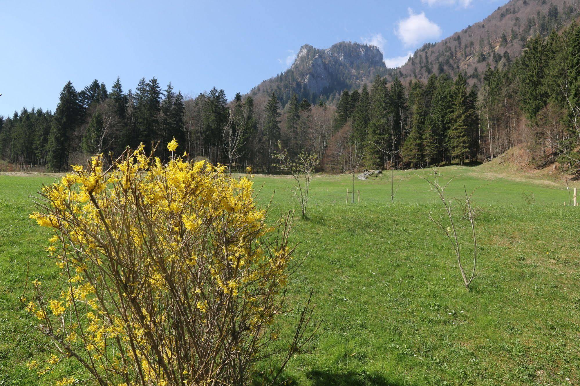 Chalets&Apartments Beim Waicher Ruhpolding Exterior foto